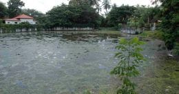 Vintage Vanchikulam set to be tourism hub of Thrissur city Vintage Vanchikulam set to be tourism hub of Thrissur city