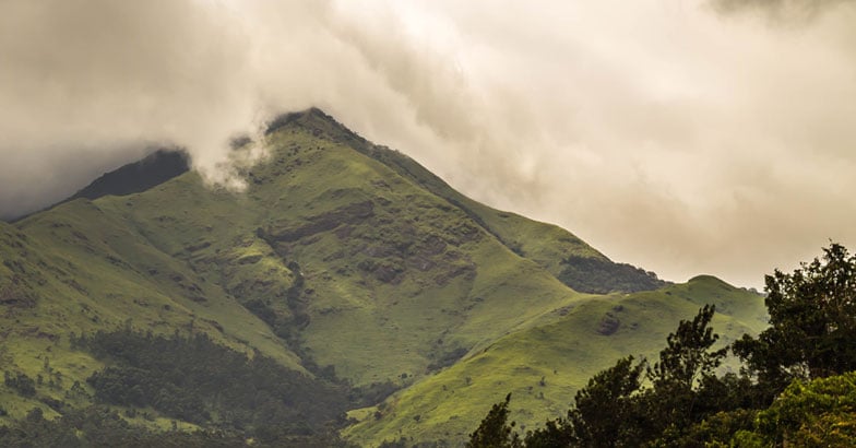 Virgin Aranamala fills eyes and hearts | Wanderlust | Glimpses of Kerala |  Trekking | Tourist | Tourist Spots | Wayanad | Videos