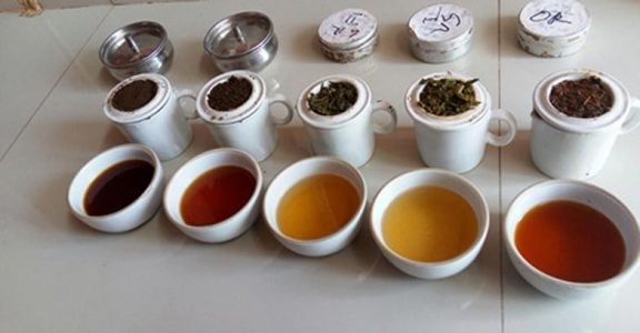 Tea Tours - Tasting