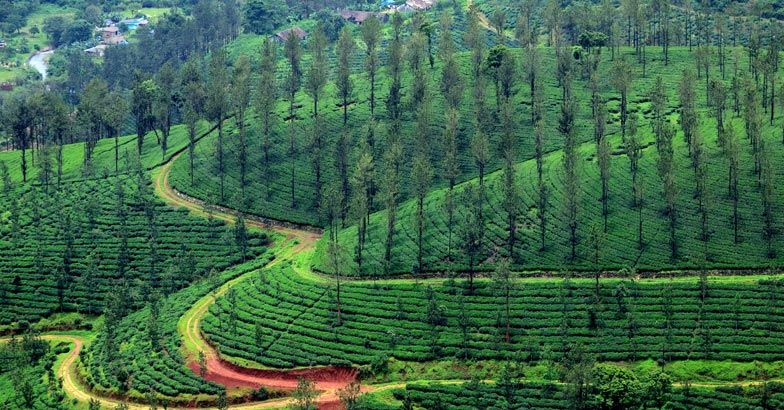 wayanad-wagamon-2
