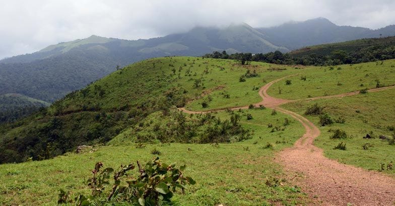 Muneeswaran Hills - the Vagamon of Wayanad Muneeswaran Hills - the Vagamon of Wayanad