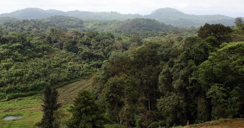 Muneeswaran Hills - the Vagamon of Wayanad Muneeswaran Hills - the Vagamon of Wayanad
