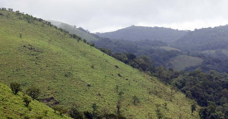 Muneeswaran Hills - the Vagamon of Wayanad Muneeswaran Hills - the Vagamon of Wayanad