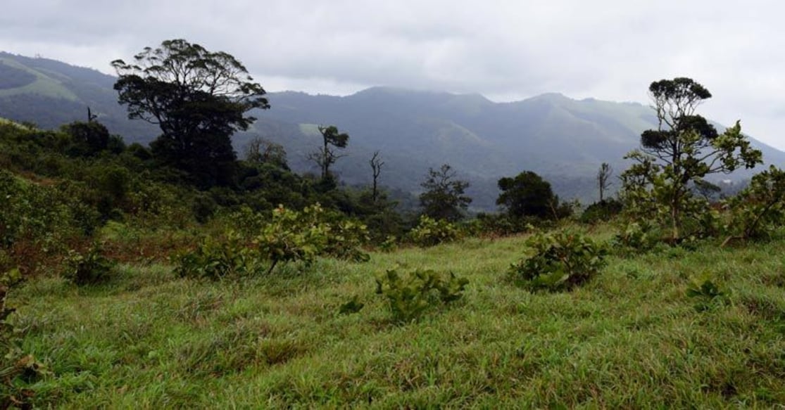wayanad-wagamon