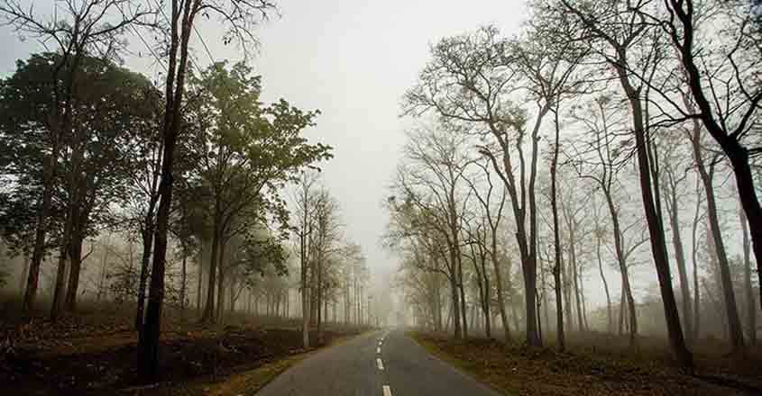 wayanad-coorg1 wayanad-coorg1
