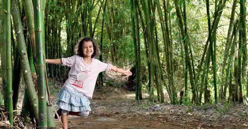 bamboo-uravu bamboo-uravu