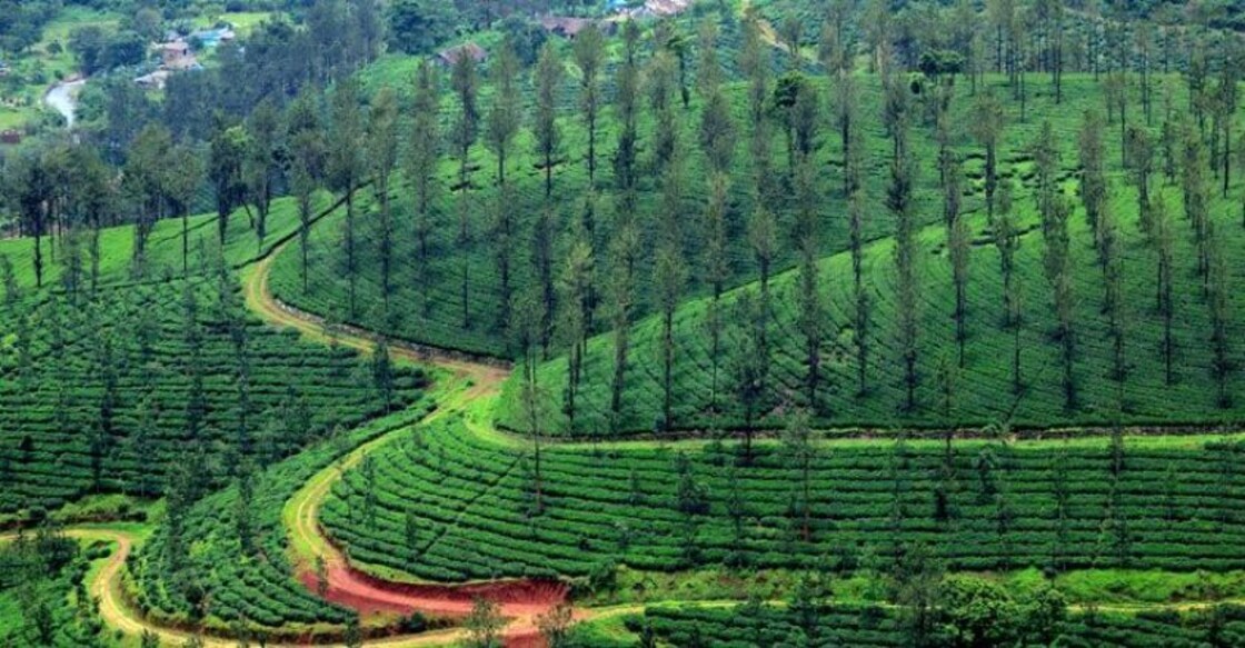 wayanad