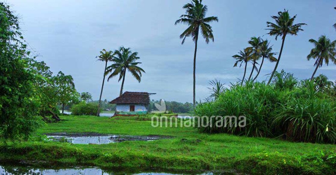 Off to Alappuzha, on a boat