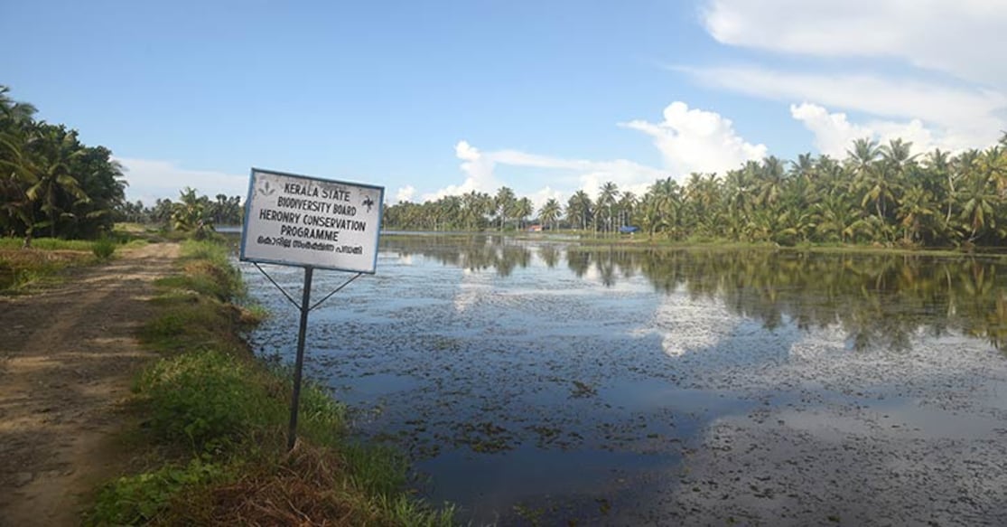 Where in Kerala is Pandi bird sanctuary? Photo: Arun John
