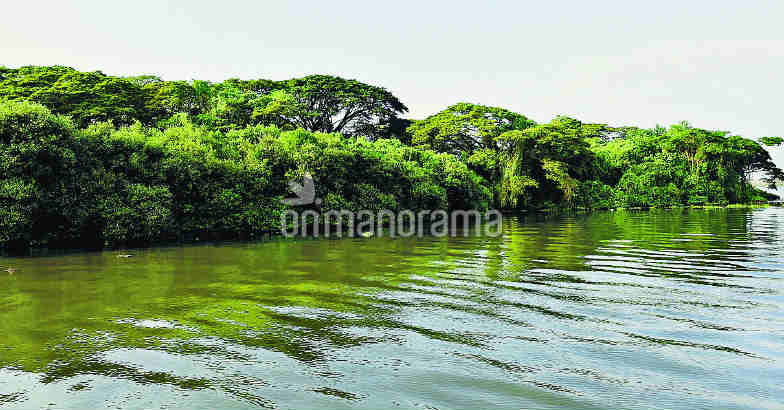 Kochi is not far Kochi is not far