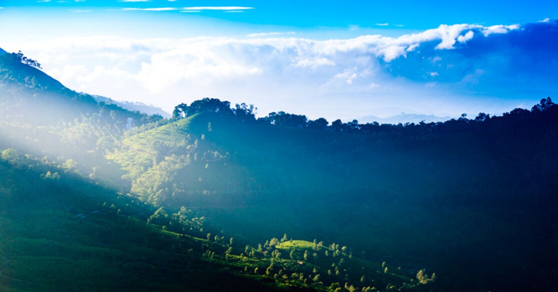 Reasons why you should head out to Munnar now. Photo: Istock