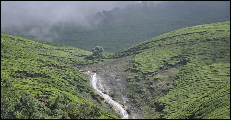 Kolukkumalai | Glimpses of Kerala | Idukki | Kolukkumalai | Videos