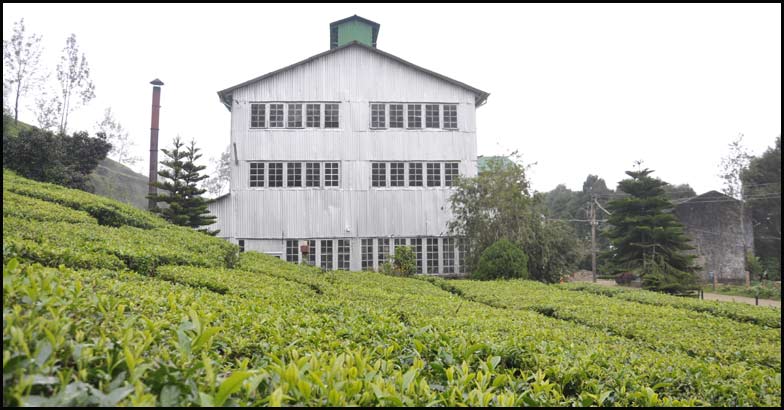 Kolukkumalai Kolukkumalai