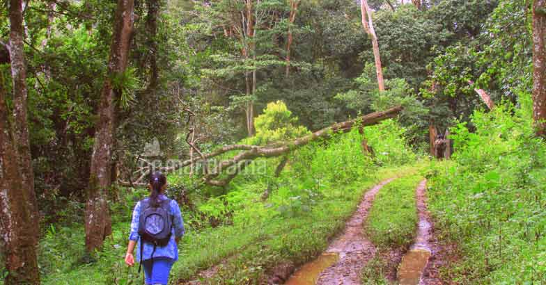 Pause, breathe, relax at Periyar Pause, breathe, relax at Periyar