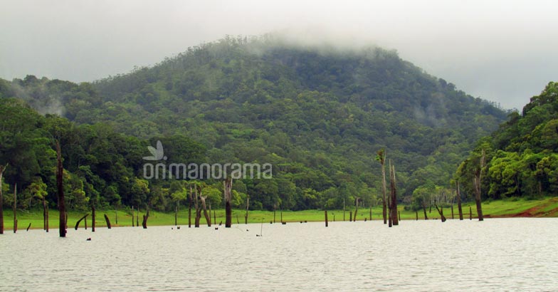 Pause, breathe, relax at Periyar Pause, breathe, relax at Periyar