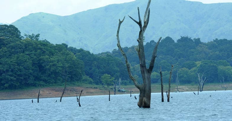 Thekkady Lake Thekkady Lake