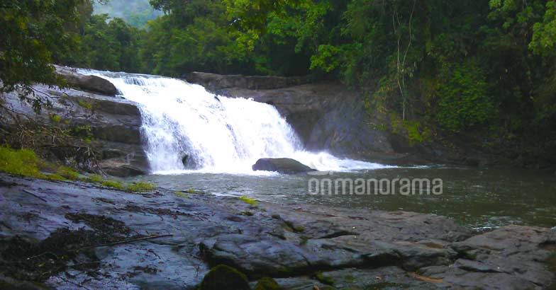 Escaping into the wilderness of the legendary Thommankuthu. Photo: Seena Joy