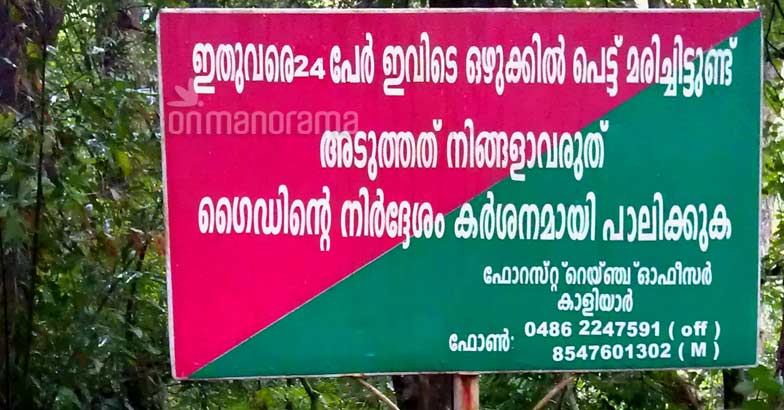Escaping into the wilderness of the legendary Thommankuthu Escaping into the wilderness of the legendary Thommankuthu