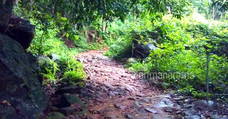 Escaping into the wilderness of the legendary Thommankuthu Escaping into the wilderness of the legendary Thommankuthu
