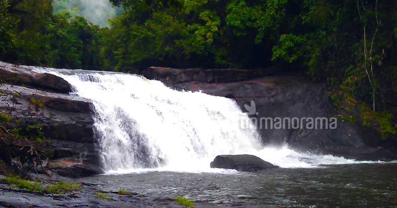 Escaping into the wilderness of the legendary Thommankuthu Escaping into the wilderness of the legendary Thommankuthu