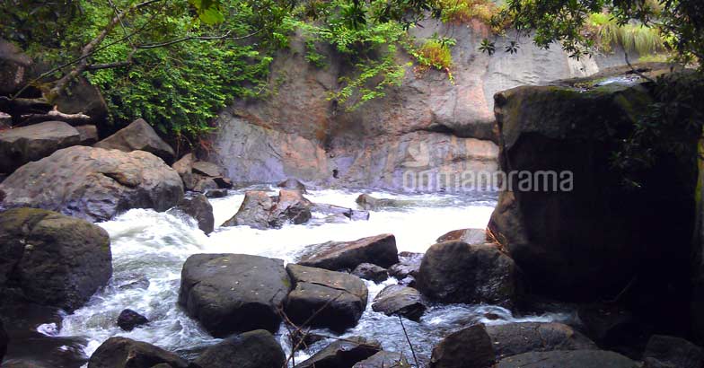 Escaping into the wilderness of the legendary Thommankuthu Escaping into the wilderness of the legendary Thommankuthu
