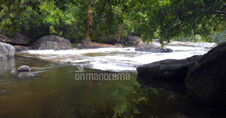 Escaping into the wilderness of the legendary Thommankuthu Escaping into the wilderness of the legendary Thommankuthu