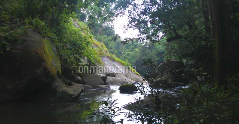 Escaping into the wilderness of the legendary Thommankuthu Escaping into the wilderness of the legendary Thommankuthu