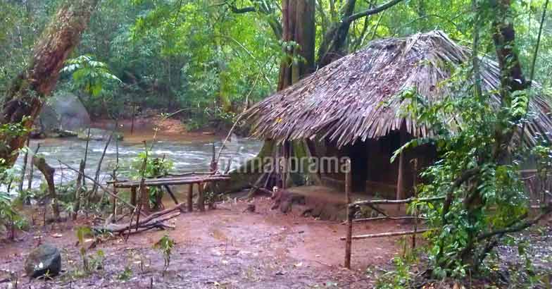 Escaping into the wilderness of the legendary Thommankuthu Escaping into the wilderness of the legendary Thommankuthu