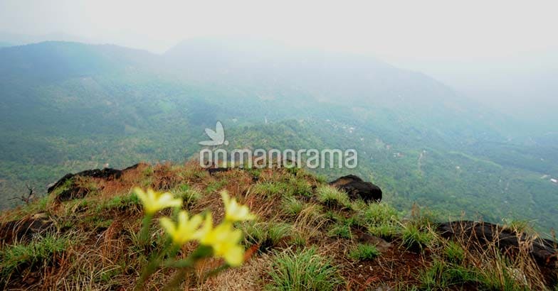 Drum roll please...this is the coldest place in Kannur Drum roll please...this is the coldest place in Kannur