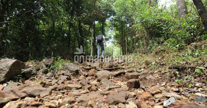 Drum roll please...this is the coldest place in Kannur Drum roll please...this is the coldest place in Kannur