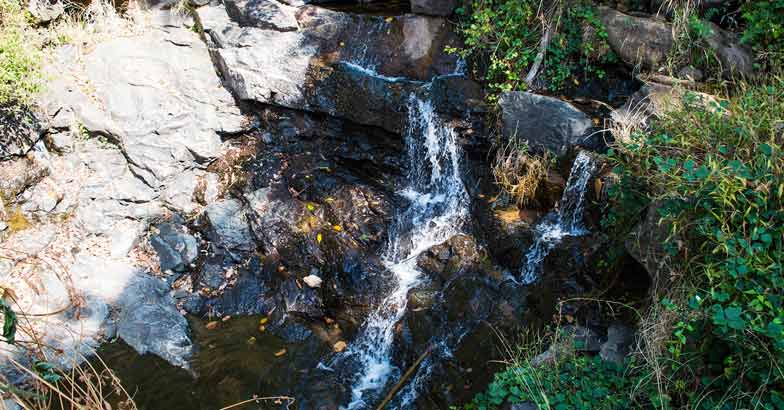 Enthayar - A trek in the forest of springs Enthayar - A trek in the forest of springs