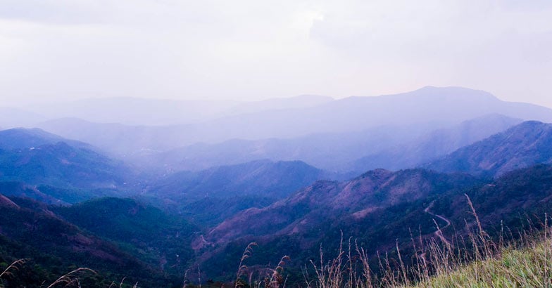 Enthayar - A trek in the forest of springs Enthayar - A trek in the forest of springs