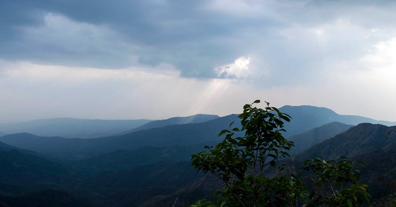 Enthayar - A trek in the forest of springs Enthayar - A trek in the forest of springs