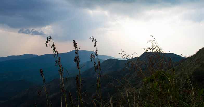 Enthayar - A trek in the forest of springs Enthayar - A trek in the forest of springs