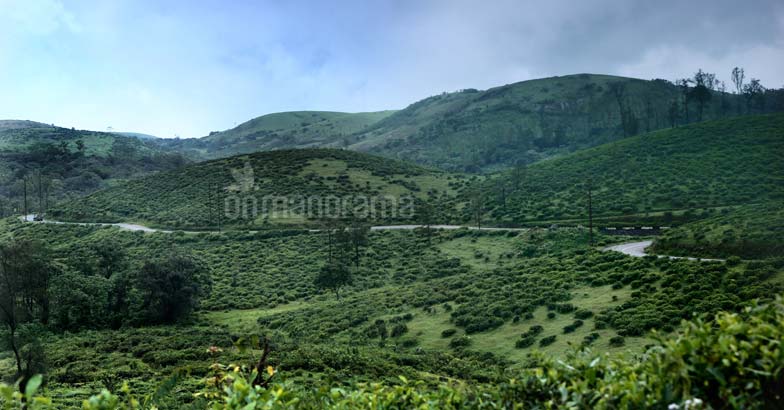 Illikkal Kallu : A view from the top | Wanderlust | Glimpses of Kerala ...