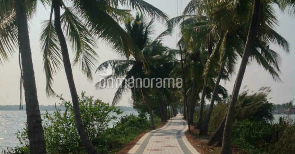 Four reasons to head out to Palaikari Aqua Tourism centre. Photo: Onmanorama