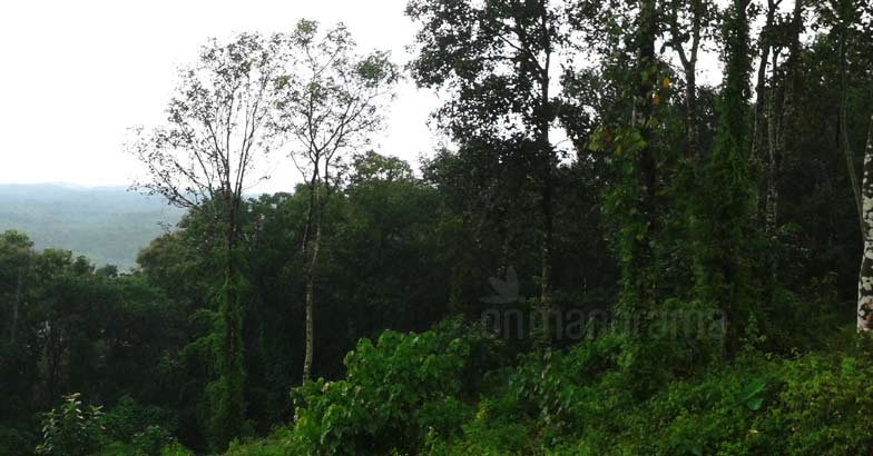 Venimala Venimala