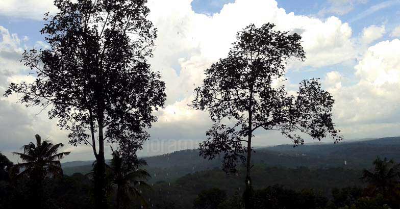 Venimala Venimala