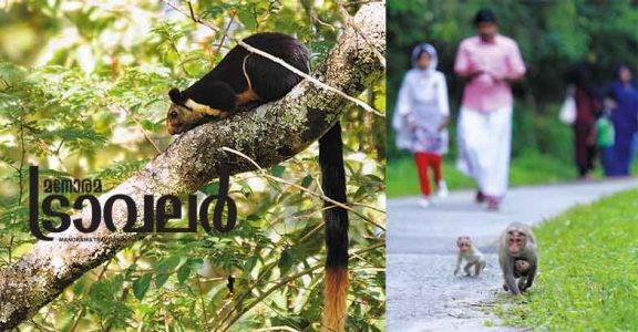 Malabar’s Own Ooty: enchanting and wrapped in mist Malabar’s Own Ooty: enchanting and wrapped in mist