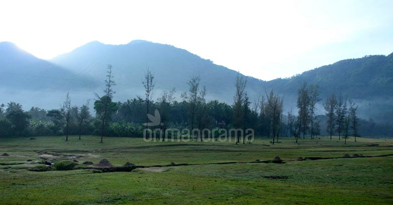 Romancing the rains at Kakkayam Romancing the rains at Kakkayam