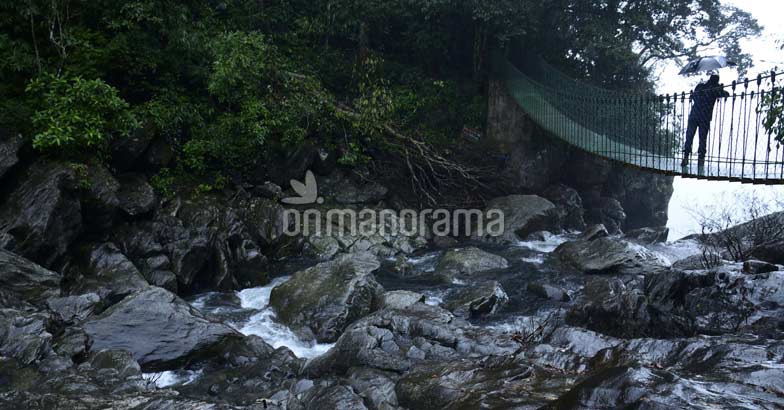 Romancing the rains at Kakkayam Romancing the rains at Kakkayam