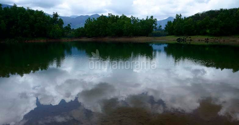 Romancing the rains at Kakkayam Romancing the rains at Kakkayam