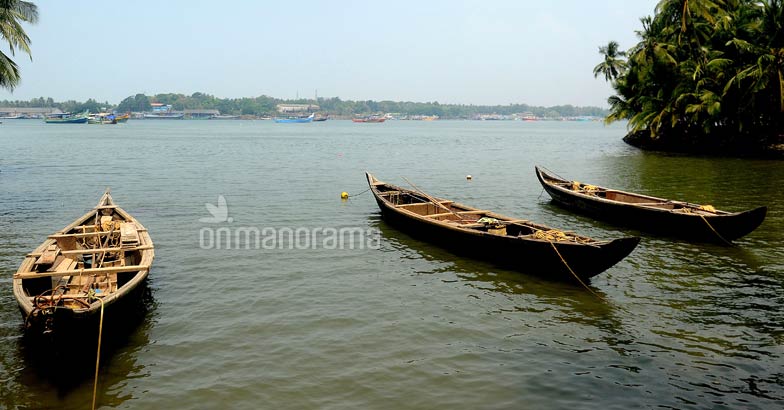 Tracing the river of gold across Nilambur Tracing the river of gold across Nilambur