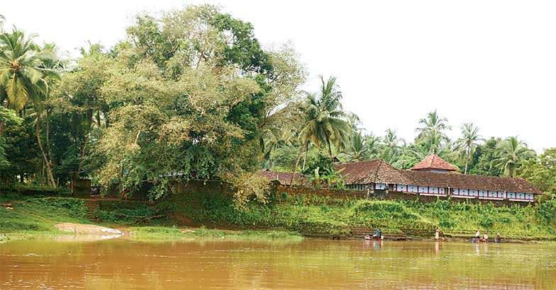 Nila Nila