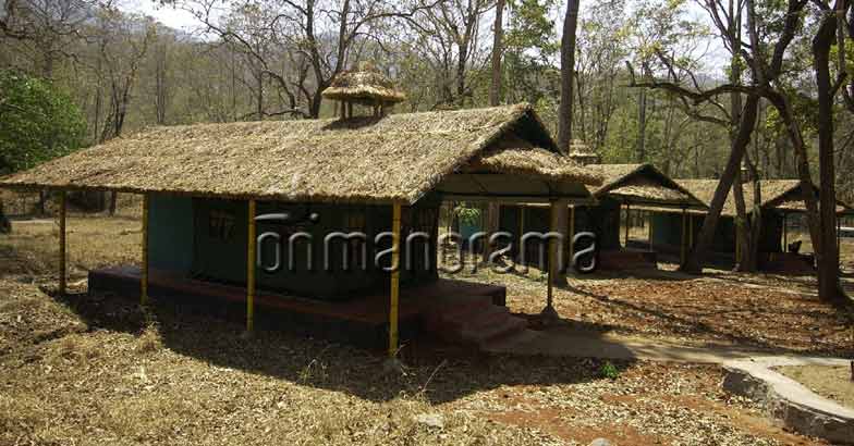 Parambikulam Parambikulam