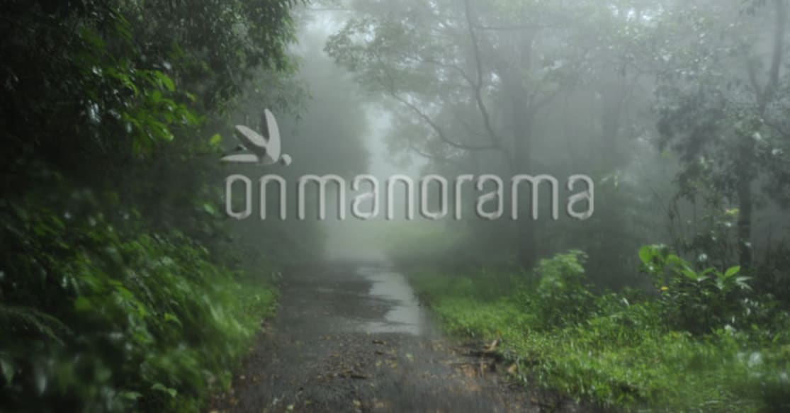 July 24 2008, Pathanamthitta,  Plappally Vandiperiyar road, Gavi route/ Rijo Joseph