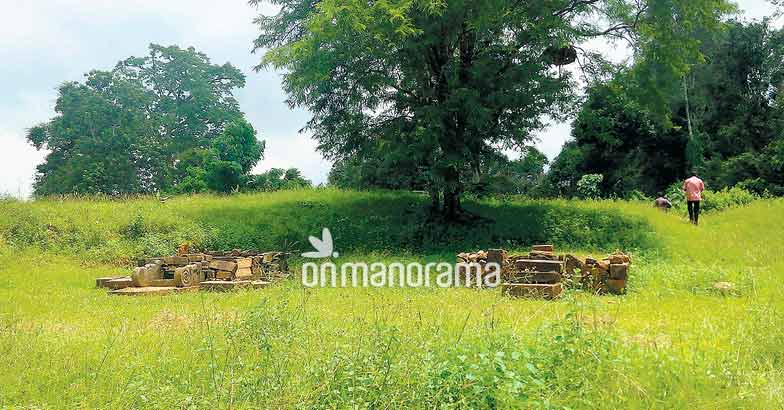 The unexplored Pathanamthitta The unexplored Pathanamthitta