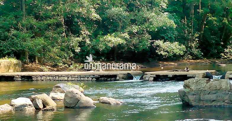 Wait, you have not seen Pathanamthitta yet! Wait, you have not seen Pathanamthitta yet!