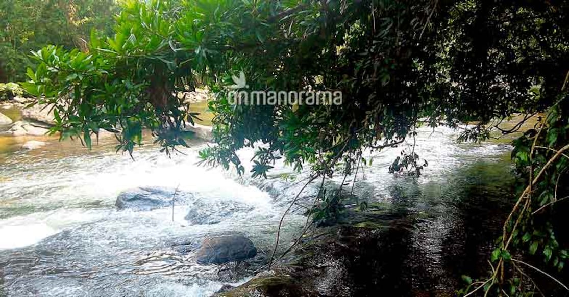The unexplored Pathanamthitta. Photo: Bobby Abraham