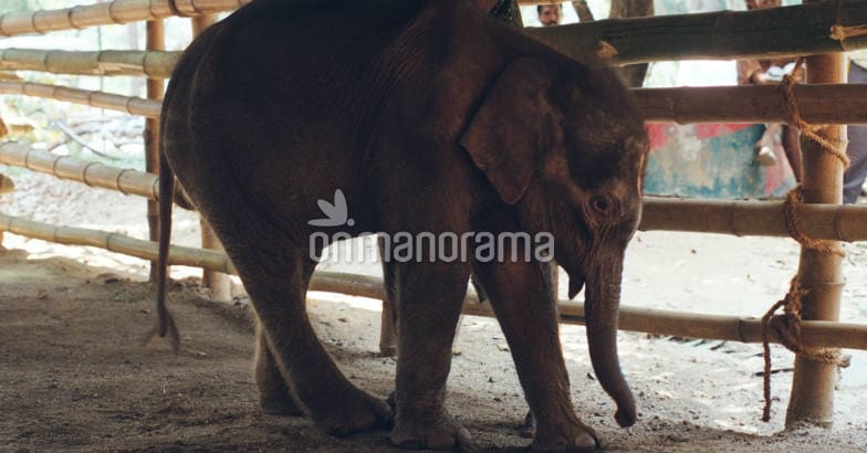 Places to go out with your children in Thiruvanathapuram Places to go out with your children in Thiruvanathapuram
